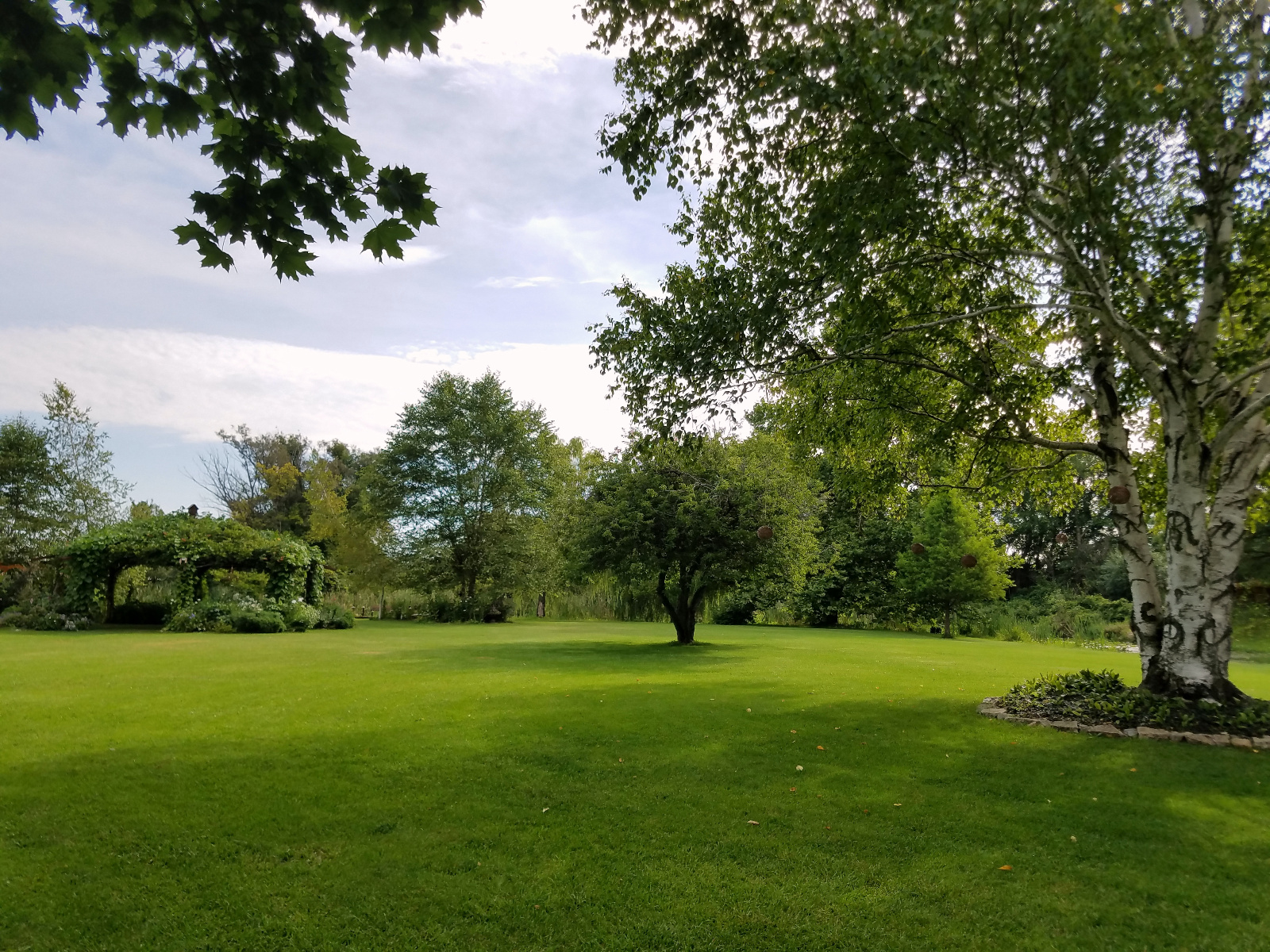 Walking away with Flowering Gazebo in the background and the Island center Birch tree